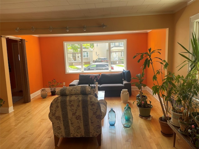 248-29 88th Rd, Bellerose, NY 11426 - living area featuring baseboards, light wood-style flooring, and crown molding
