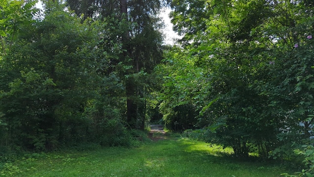 3746 Mill St, Shrub Oak, NY 10588 - photo 17