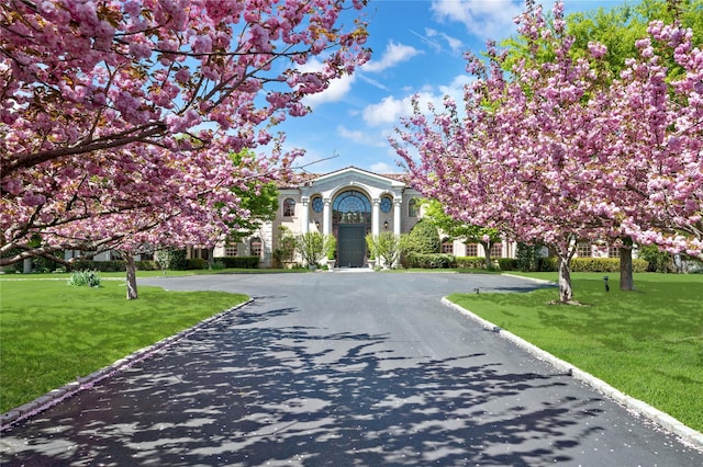 8 Tatem Way, Old Westbury, NY 11568 - view of front of house featuring a front yard and curved driveway