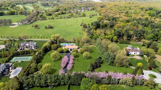 8 Tatem Way, Old Westbury, NY 11568 - aerial view