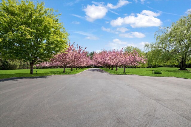 8 Tatem Way, Old Westbury, NY 11568 - view of asphalt street