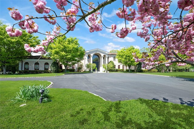8 Tatem Way, Old Westbury, NY 11568 - view of front facade with a front lawn