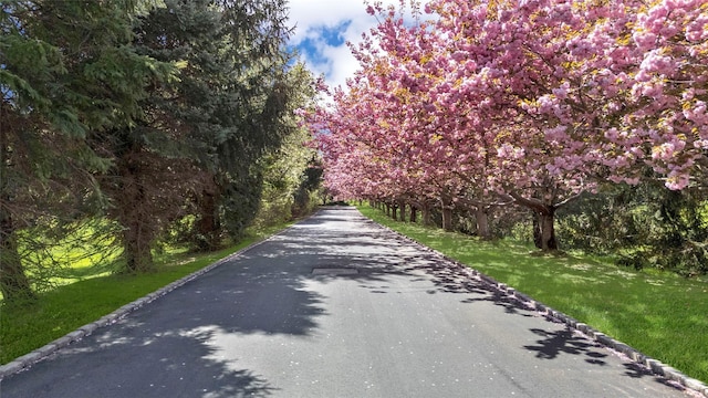 8 Tatem Way, Old Westbury, NY 11568 - view of asphalt street