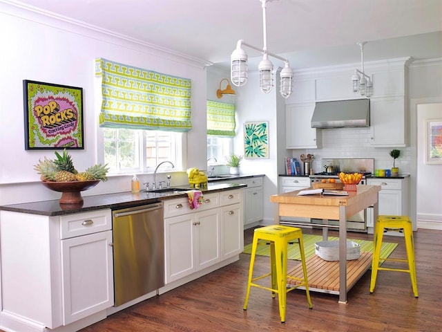 kitchen featuring a sink, ventilation hood, stainless steel appliances, decorative backsplash, and dark wood-style floors