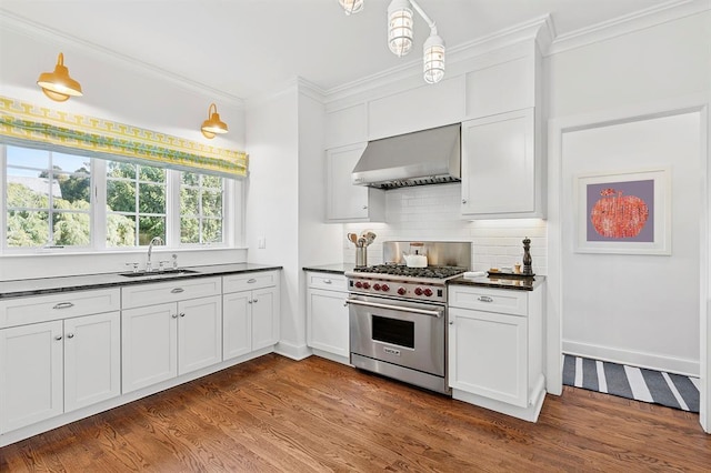 kitchen featuring crown molding, designer stove, a sink, and wall chimney exhaust hood
