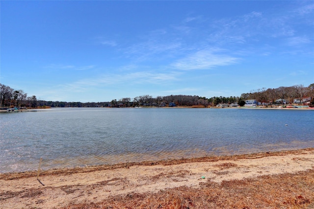 243 Lakeside Trl, Ridge, NY 11961 - photo 32