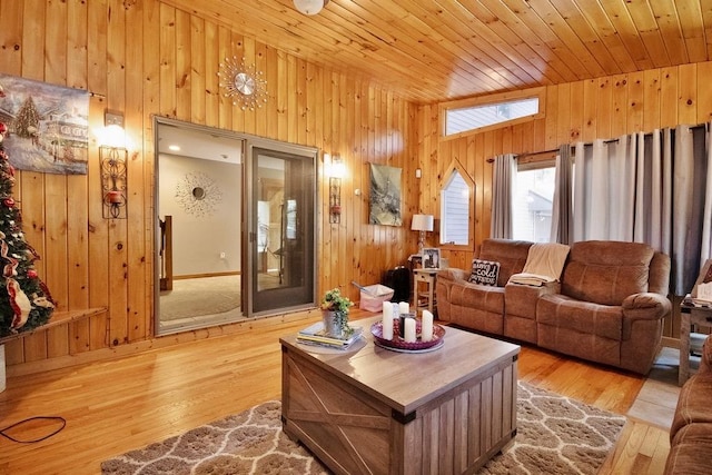 19 W Mitchell St, Smallwood, NY 12778 - living room featuring lofted ceiling, wood finished floors, and wooden walls