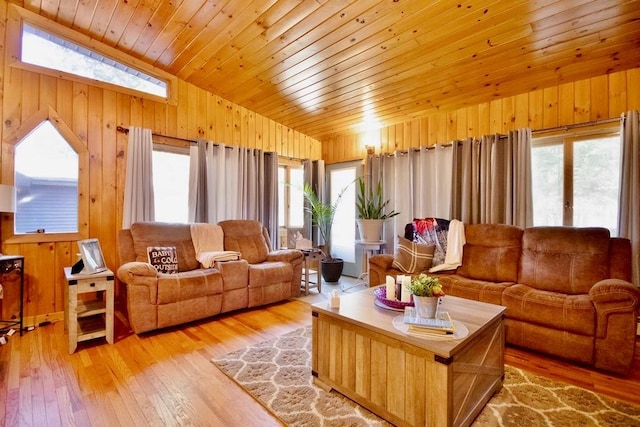 19 W Mitchell St, Smallwood, NY 12778 - living area with wooden ceiling, lofted ceiling, wooden walls, and light wood finished floors