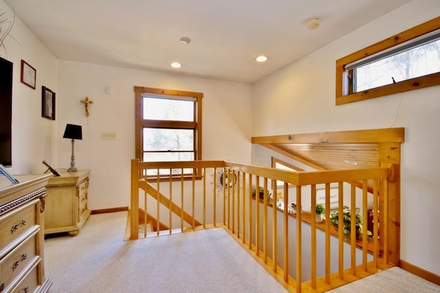 19 W Mitchell St, Smallwood, NY 12778 - hall featuring baseboards, an upstairs landing, a healthy amount of sunlight, and light carpet