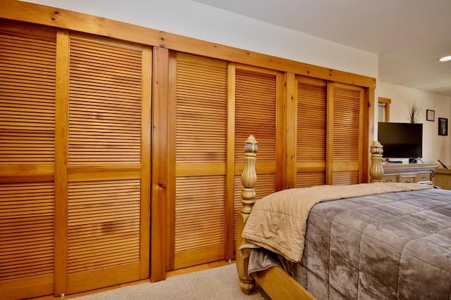 19 W Mitchell St, Smallwood, NY 12778 - bedroom with carpet flooring and recessed lighting