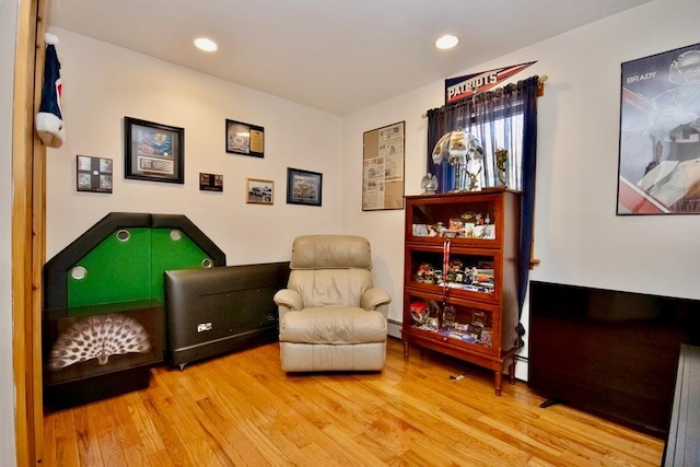 19 W Mitchell St, Smallwood, NY 12778 - sitting room featuring wood finished floors and recessed lighting