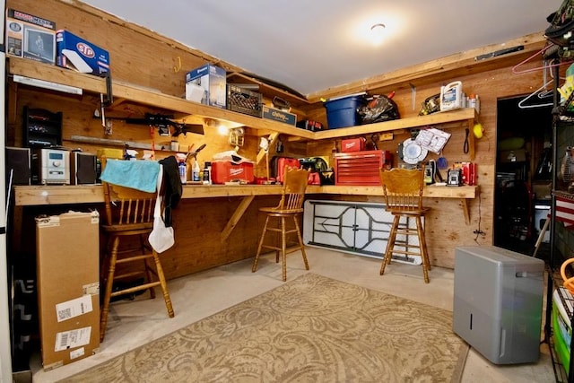 19 W Mitchell St, Smallwood, NY 12778 - view of storage