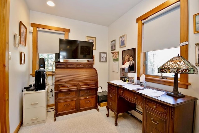 19 W Mitchell St, Smallwood, NY 12778 - office featuring light colored carpet and a baseboard heating unit