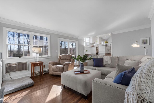 living area with crown molding, a baseboard radiator, an AC wall unit, and wood finished floors