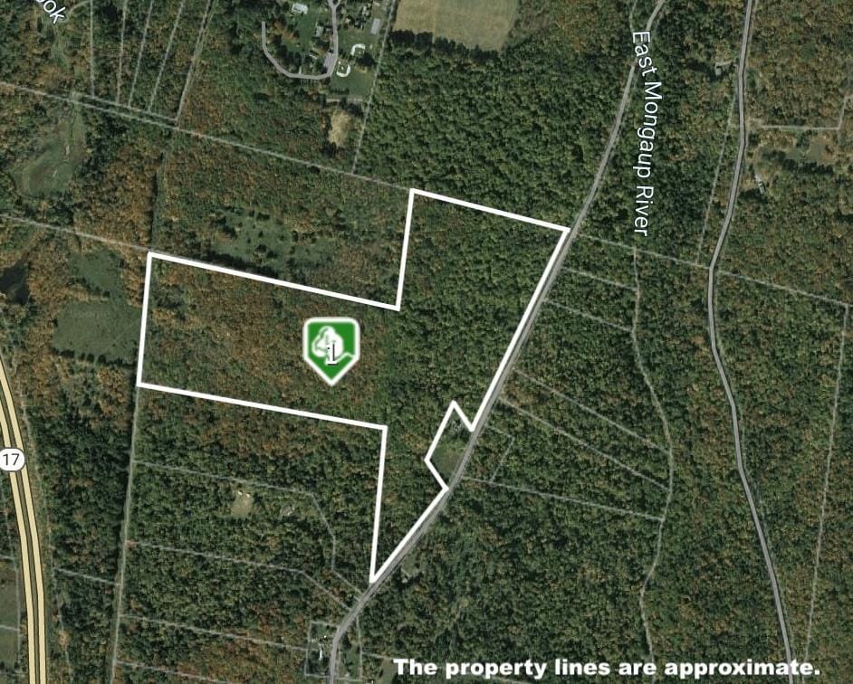 0 Big Woods Rd, Harris, NY 12742 - photo 1