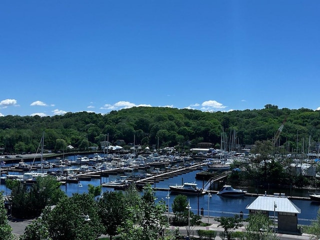 100 Garvies Point Rd Unit 1237, Glen Cove, NY 11542 - water view featuring a heavily wooded area and a boat dock