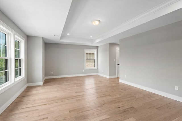407 Wellington Rd, East Meadow, NY 11554 - spare room featuring healthy amount of natural light, light wood-style flooring, a tray ceiling, baseboards, and recessed lighting