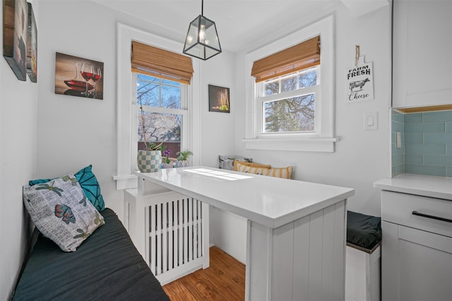 bathroom featuring wood finished floors, radiator, tasteful backsplash, and plenty of natural light