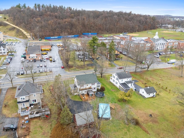 drone / aerial view