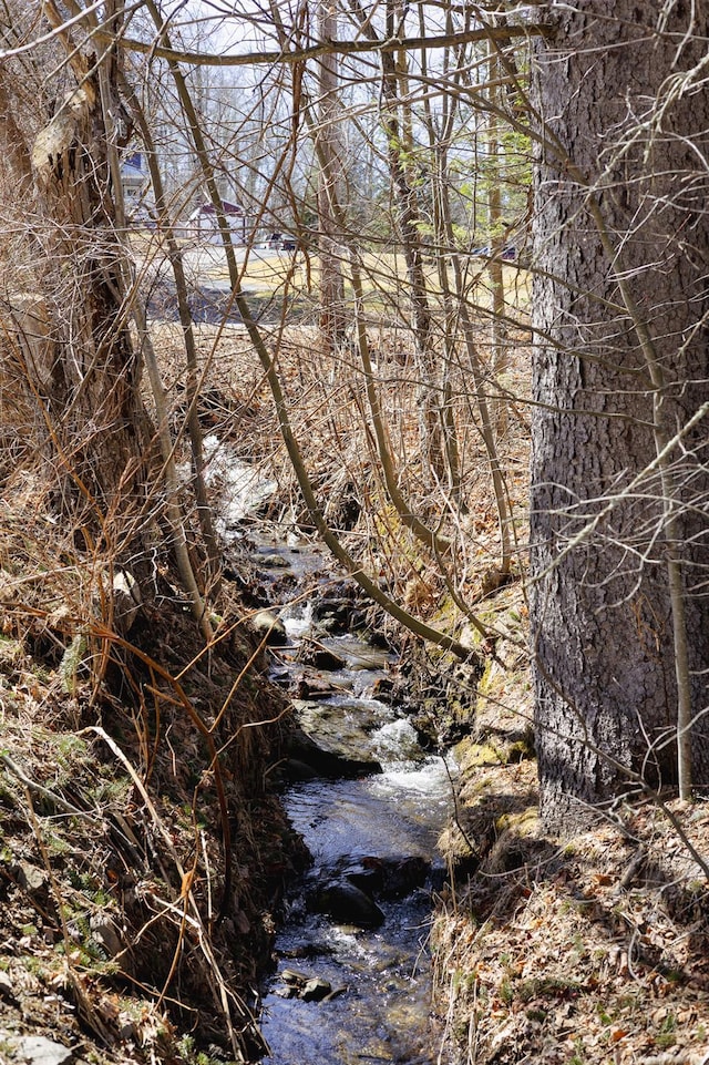 view of local wilderness