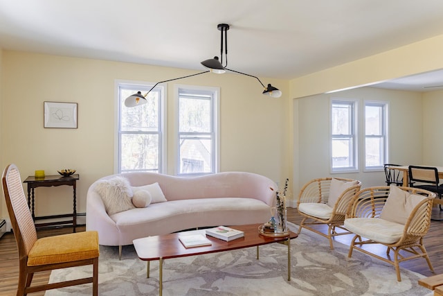 living area featuring wood finished floors