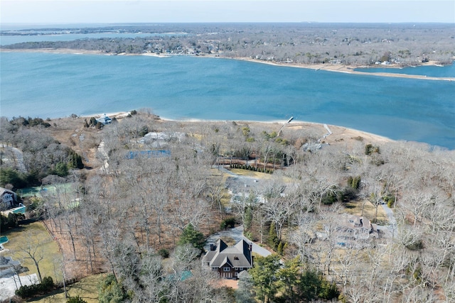 53 Cedar Ln W, Remsenburg, NY 11960 - aerial overview of property's location featuring a large body of water