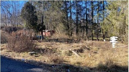 33 Dudley St, Harveys Lake, Pennsylvania PA, 18618 land for sale