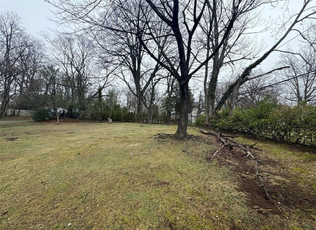 71 Horace Harding Blvd, Great Neck, NY 11020 - photo 3