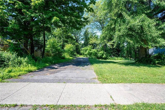 116 Montgomery St, Rhinebeck, NY 12572 - photo 5