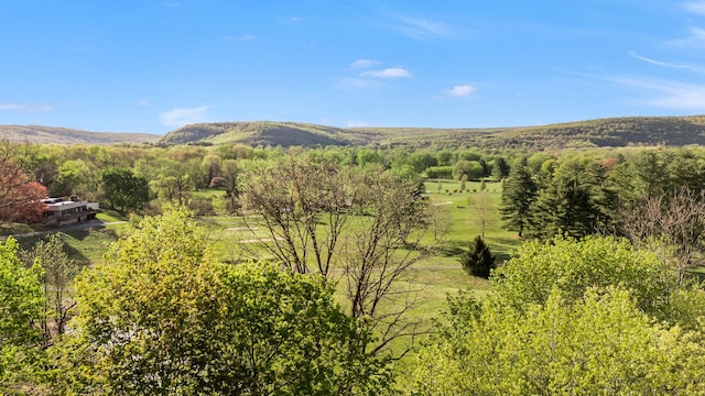 mountain view with a forest view