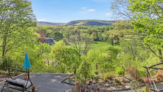 view of mountain feature with a wooded view