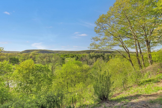view of landscape with a view of trees