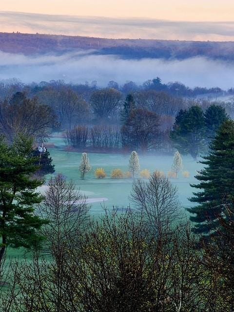 view of water feature