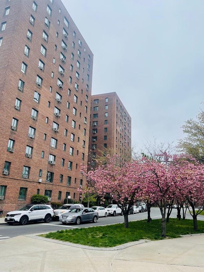 1705 Purdy St Unit 7A, Bronx, NY 10462 - view of property