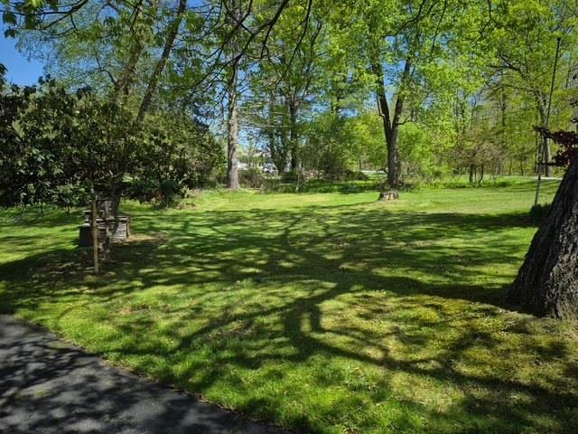 191 Gables Rd, Narrowsburg, NY 12764 - view of green lawn