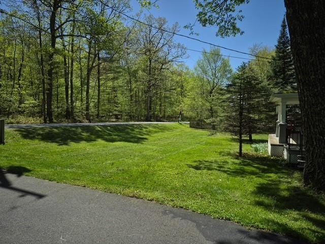 191 Gables Rd, Narrowsburg, NY 12764 - view of green lawn with a view of trees