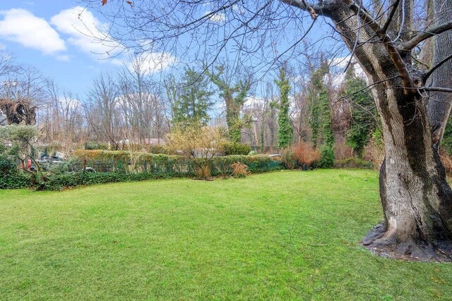 43 Van Nostrand Ave, Great Neck, NY 11024 - photo 25
