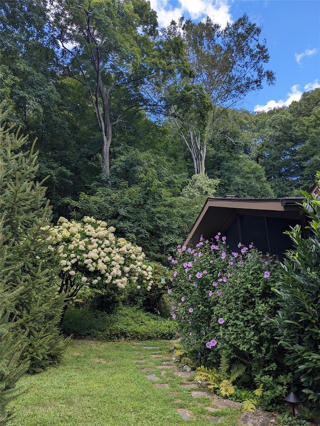 35 Riverview Trl, Croton-On-Hudson, NY 10520 - view of yard