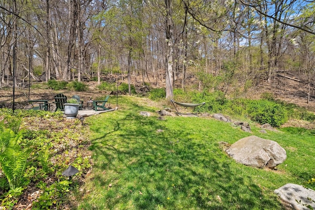 35 Riverview Trl, Croton-On-Hudson, NY 10520 - view of grassy yard