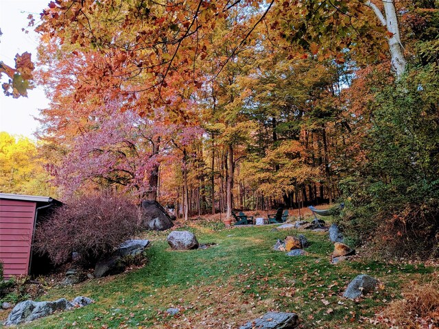 35 Riverview Trl, Croton-On-Hudson, NY 10520 - view of green lawn