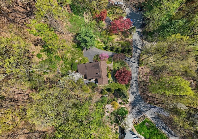 35 Riverview Trl, Croton-On-Hudson, NY 10520 - aerial view of property and surrounding area