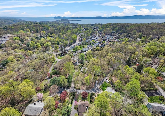 35 Riverview Trl, Croton-On-Hudson, NY 10520 - aerial overview of property's location with a forest