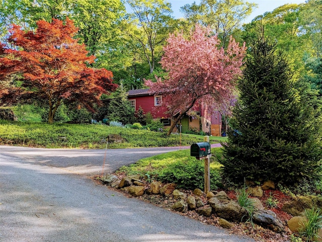 35 Riverview Trl, Croton-On-Hudson, NY 10520 - view of asphalt road