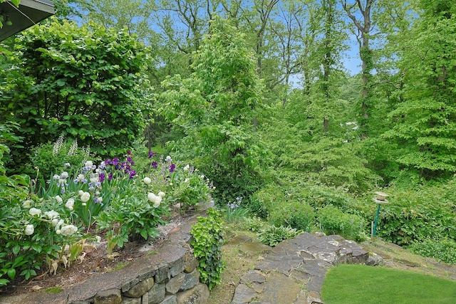 21 Woods Rd, Palisades, NY 10964 - view of yard