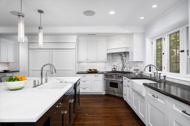 kitchen with crown molding, a sink, white cabinets, and premium appliances