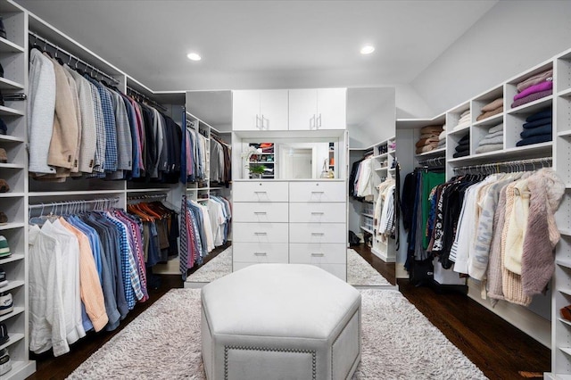 walk in closet featuring dark wood-style floors