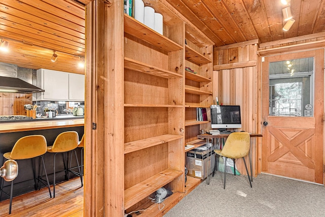79 Torre Rock Rd, Red Hook, NY 12571 - view of storage