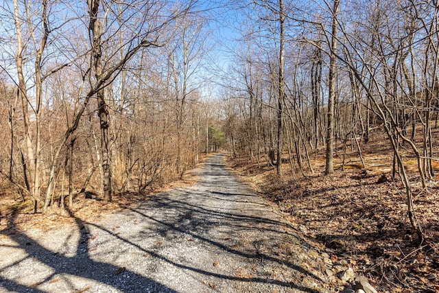 79 Torre Rock Rd, Red Hook, NY 12571 - view of road
