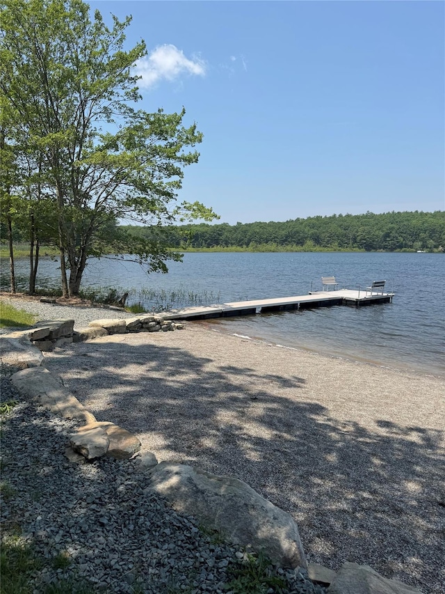 LOT1 Zane Grey Way, Barryville, NY 12719 - photo 2