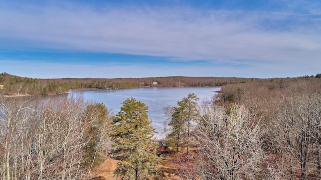 LOT1 Zane Grey Way, Barryville, NY 12719 - photo 6